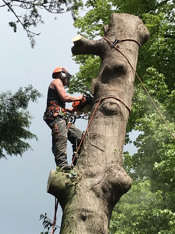 Photo 18-05-2019, 11 31 35.jpg