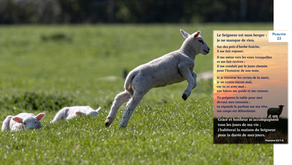 Qui ne manque de rien ?