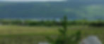 flwwc background.jpg