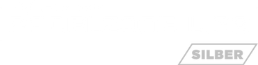 PADELZONE-Liga_Logo_Silber.png