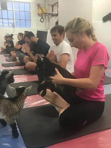 Goga Goat Yoga Mucky Bucket Farm