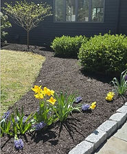 Screenshot 2025-07-09 155644_edited.jpg