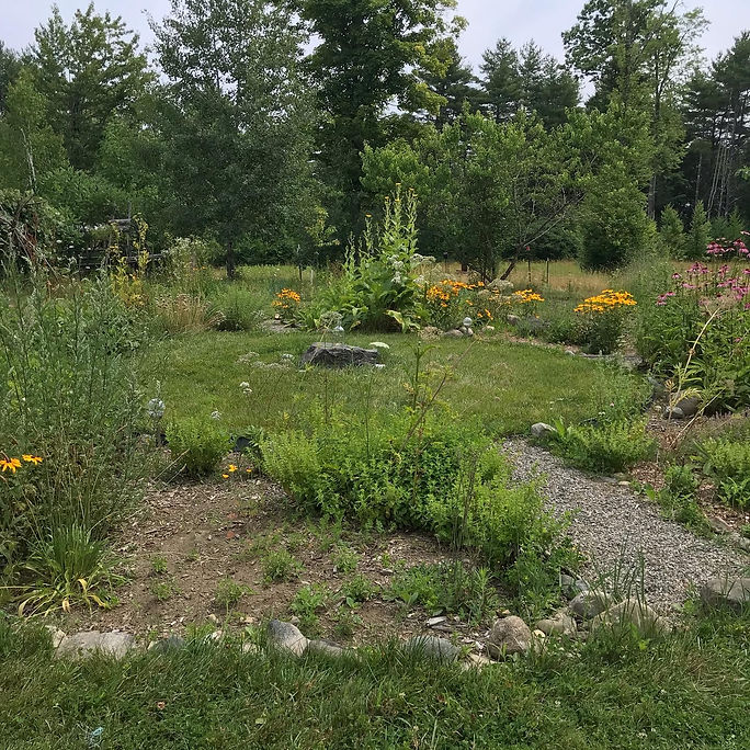 C383F4E2-AC50-4B32-8606-D4242F9684C0.jpg