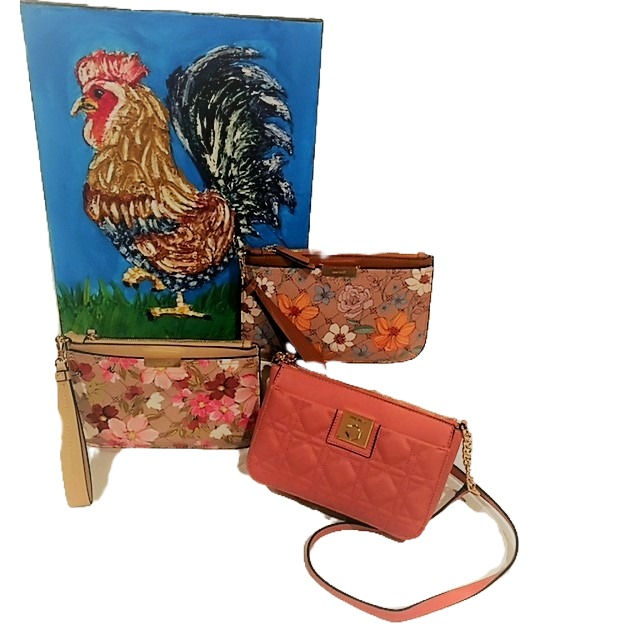 Nine West Mini Crossbody Bag with essentials 