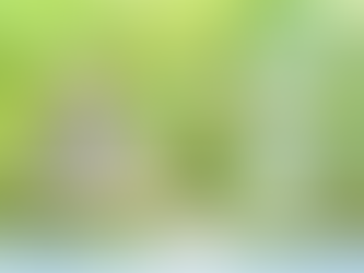 Perfect Timing: When to Implement Option-based Hedges