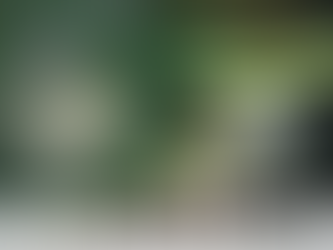 Why Dividend-Growing Stocks Are Better Than High Dividend-Yielding Stocks