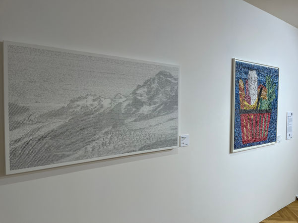 Présentation à Confédération Center de quelques oeuvres des artistes prenant part à l'expo Conservation