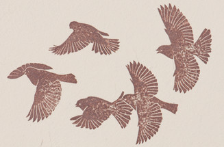 A flock in flight - detail