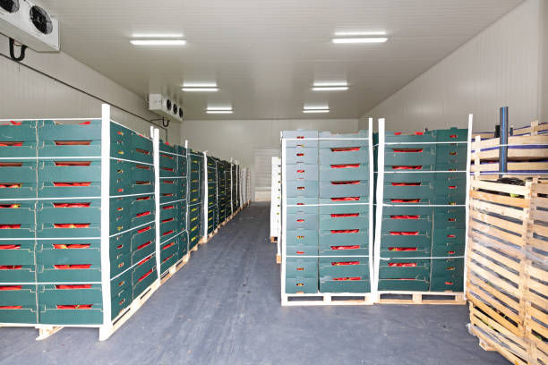 Atlantic Refrigeration Canada Commercial Freezer cooler