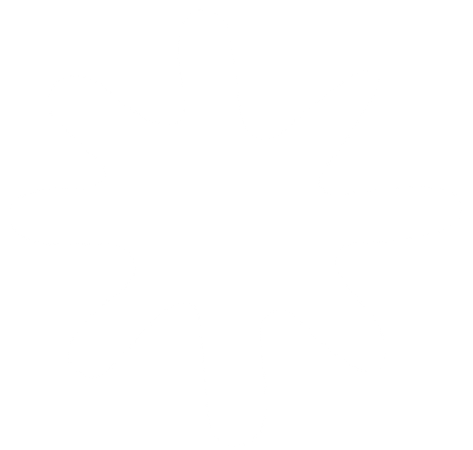 HilvanaLab_RGB_ESTRELLA-06.png