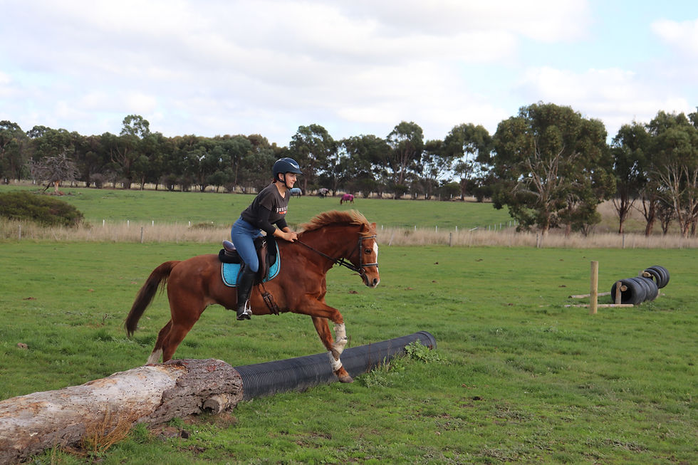Thumbnail: Darcy