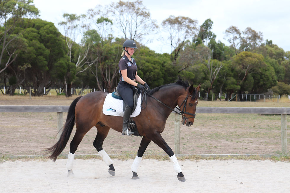 Thumbnail: Stormy Edge