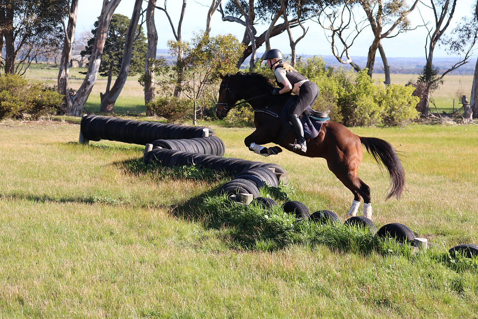 Thumbnail: Wildwood Tycoon (Stuart)