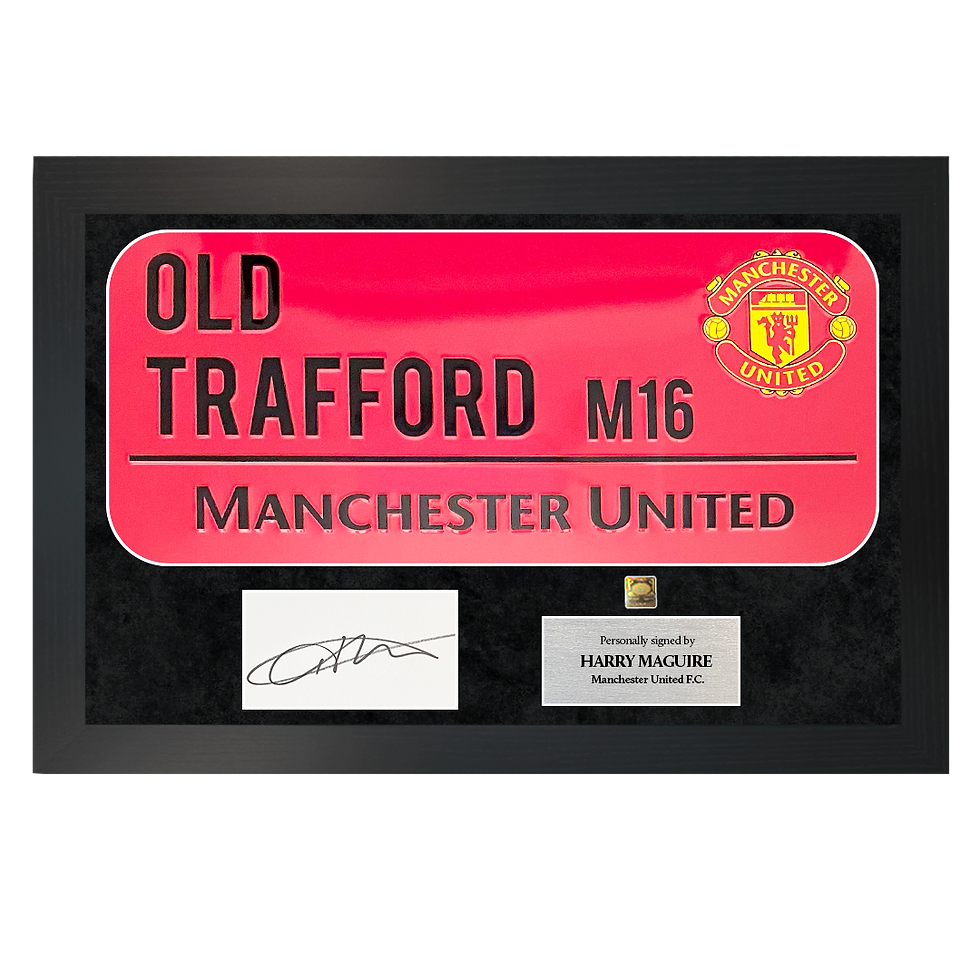 Thumbnail: Harry Maguire | Signed Street Sign