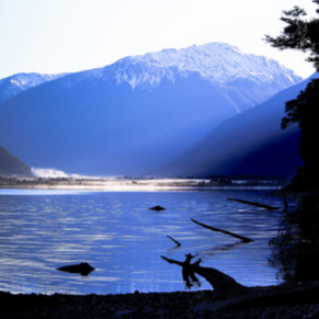 Hollyford Track
