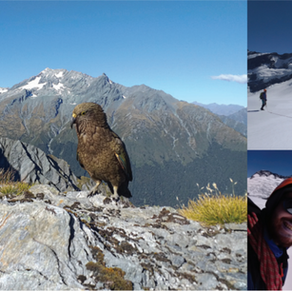 Mt. Earnslaw & The Dart Glacier