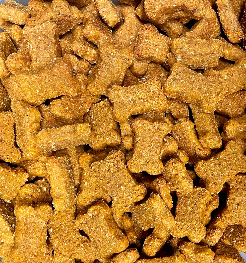 Thumbnail: A pile of all-natural Farmstand Veggies bone-shaped dog treats, made with peanut butter, organic pumpkin puree, up-cycled carrot pulp from an organic juice producer and zucchini