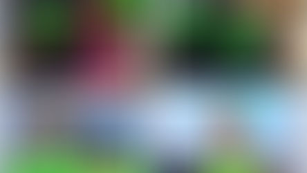 Arthur Murray Dance Centers—Boston Dances for Music Education