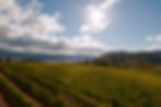 Thompson Okanagan