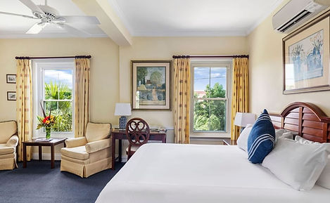 Deluxe Mini Suite.jpg