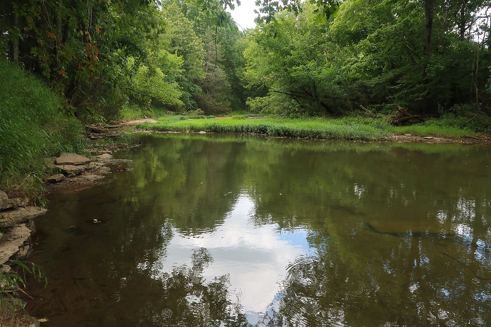 A view of tranquil Spring Creek on an August afternoon at Sellars Farm. - Photo by Jason Allen