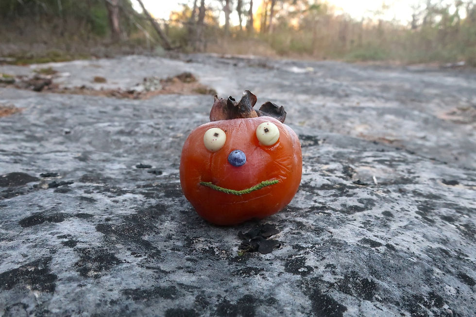 Persimmon pumpkin with Roughleaf Dogwood eyes and Eastern Redcedar nose and mouth. - Photo by Jason Allen