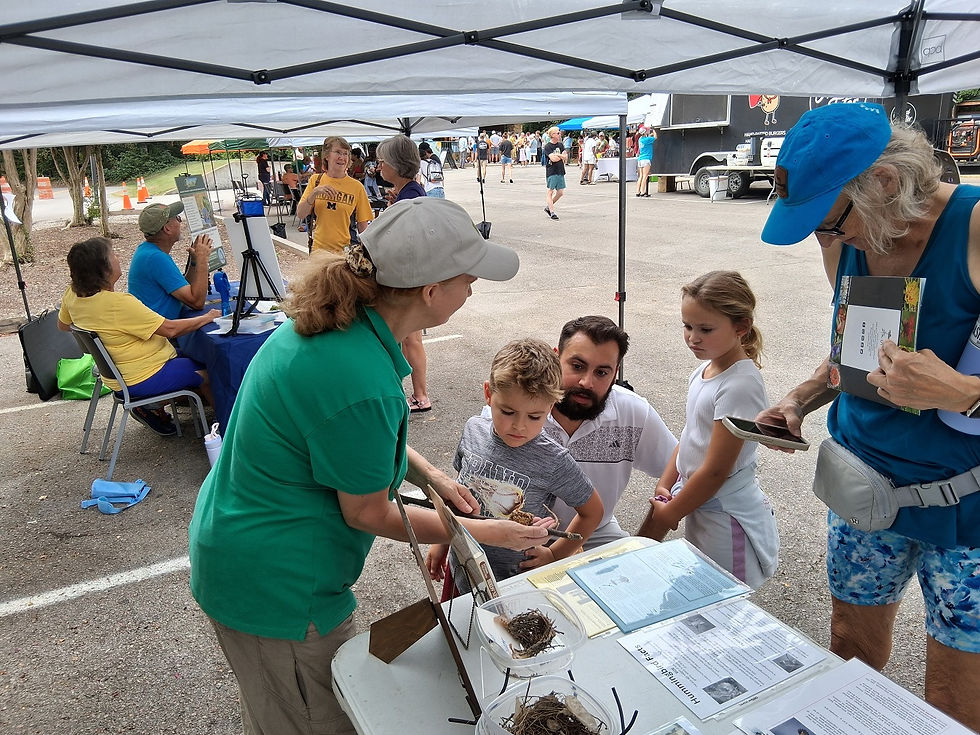 More scenes from Murfreesboro's Hummingbird Festival. - Photos by Jason Allen