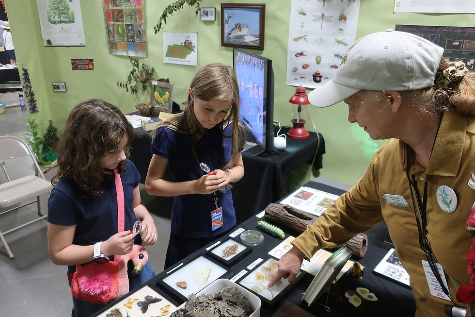 Leslie Anne and two young fair visitors discuss moths. - Photo by Jason Allen