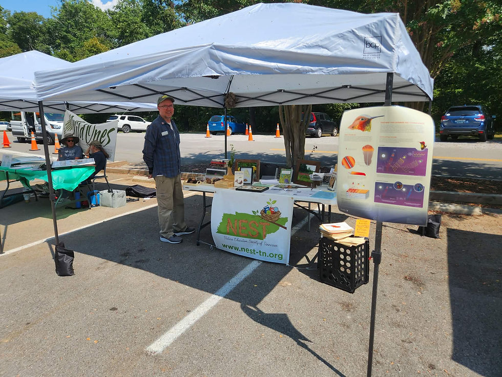 Setting up our table at the Hummingbird Festival. - Photo by Leslie Anne Rawlings
