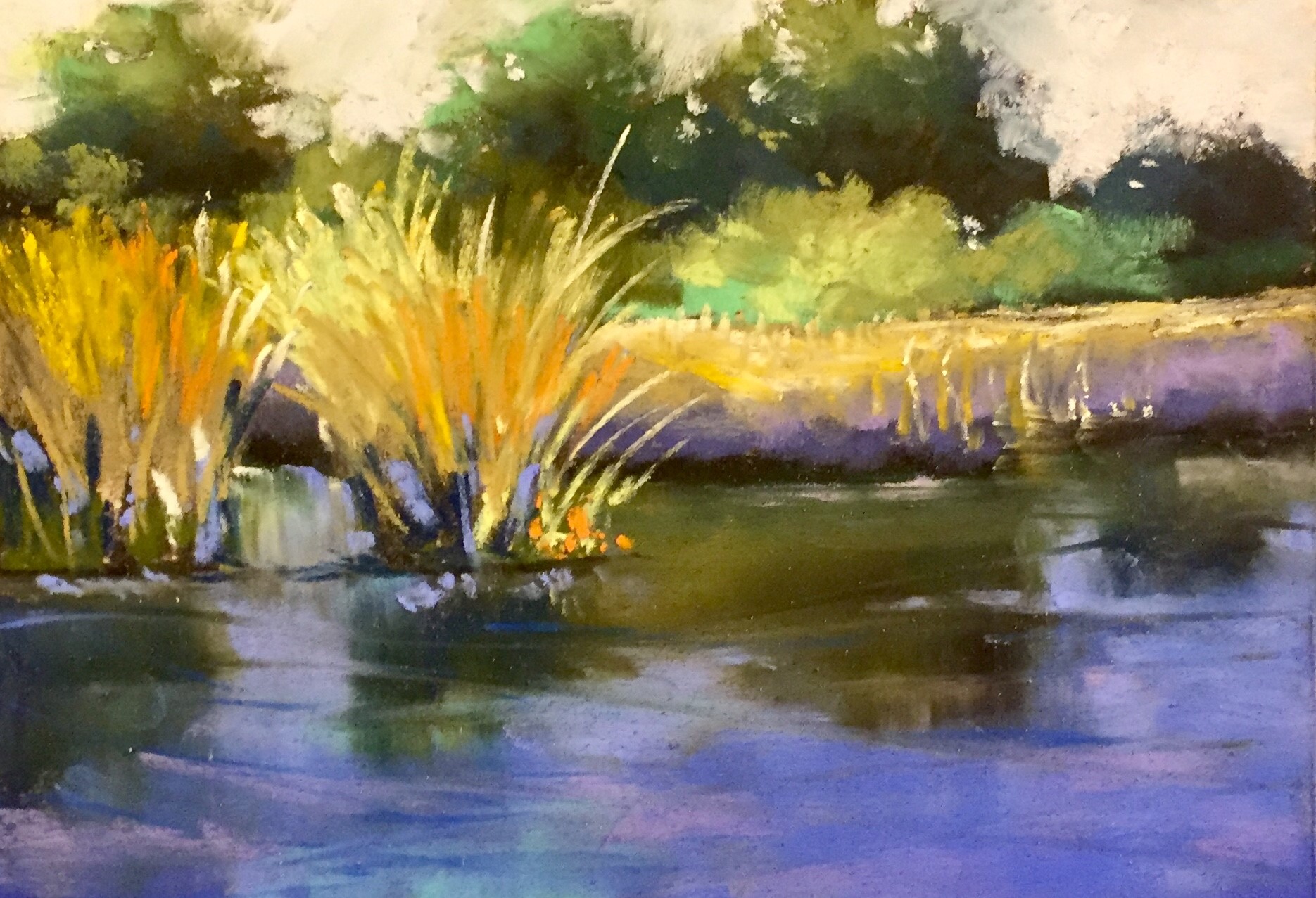 Rushes