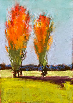 Poplars 3