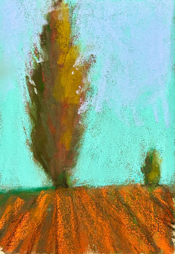 Poplars 4