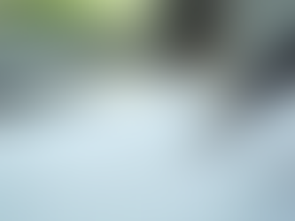 Top Immigration Attorney Tips for Visa Applications