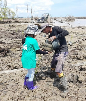 Volunteer Suriname Mangrove-aanplant-Weg-naar-Zee.jpeg