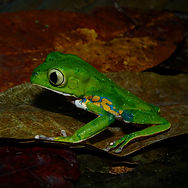 IMG_5936.JPG