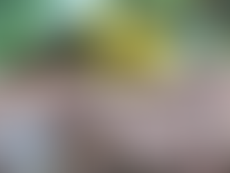 O “XIXI” E O “LEITE” DO SAPO PODEM CEGAR?