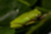 image00010.jpeg