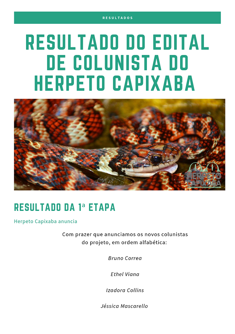 primeiro edital de desing (8).png