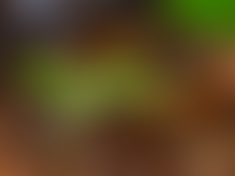 A CORRIDINHA DOS LAGARTOS