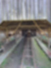 20250309_091245.jpg