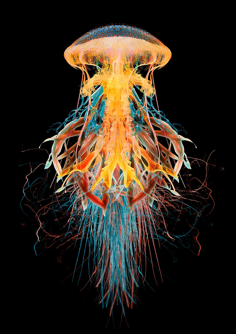 Imaginarium portfolio