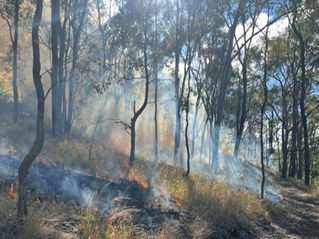 Improving landscape scale fire history information