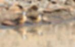 STodd_202011027_2S0A9574.jpg