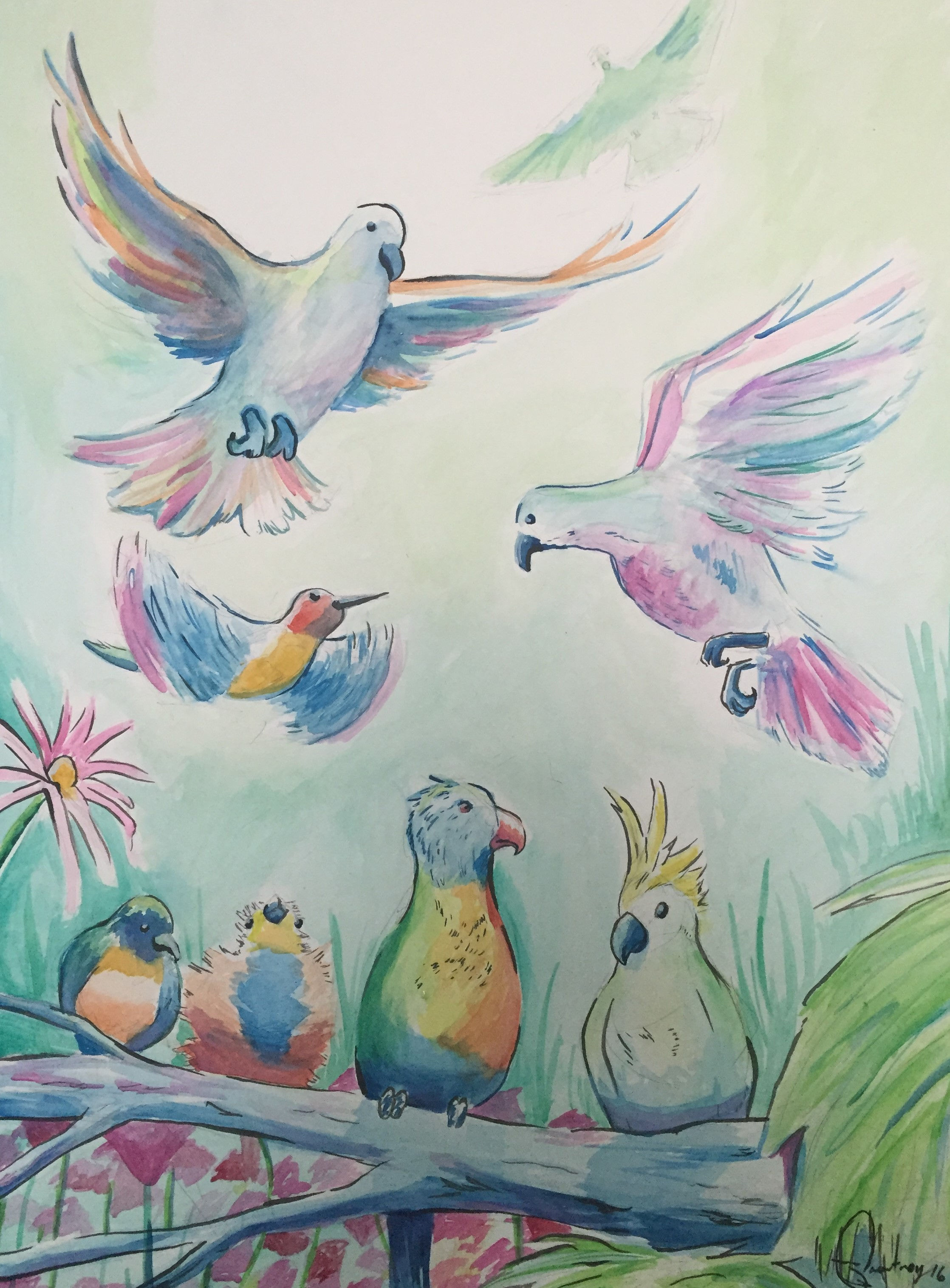 Exotic Birds Watercolor