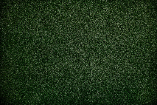 texture-green-grass-surface-wallpaper-concept.jpg