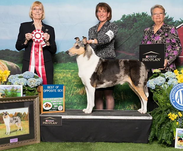 Screenshot 2026-01-25 at 2.43.23 PM.png