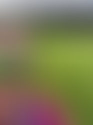 Louise Gets Ready for London!