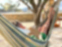 IMG_0785.jpeg