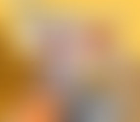 S3EP11 毛孩修仙不設限!動物神信仰怎麼這麼可愛啦!