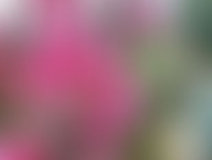 【降文】新春降文_順元山寺孚佑帝君